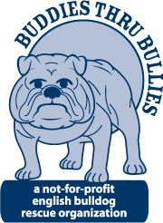 pet lover gifts