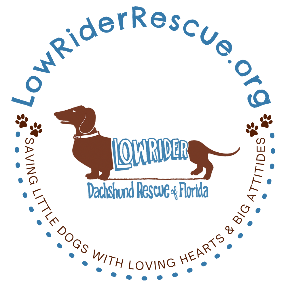 Blog 9-2-21: Our New Friends from Florida