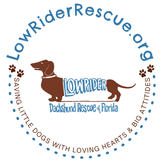 Blog 9-2-21: Our New Friends from Florida