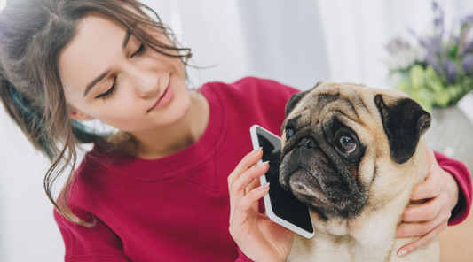 Top Things Your Dog Is Trying To Tell You