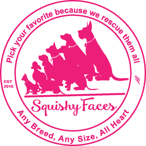 pet lover clothing