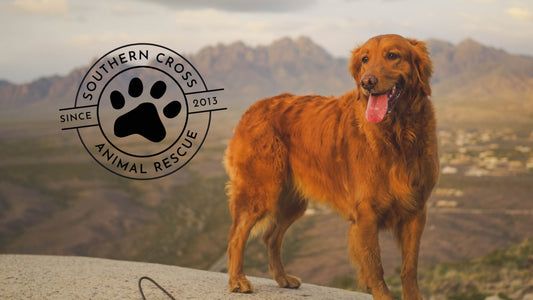 Welcome Southern Cross Animal Rescue!