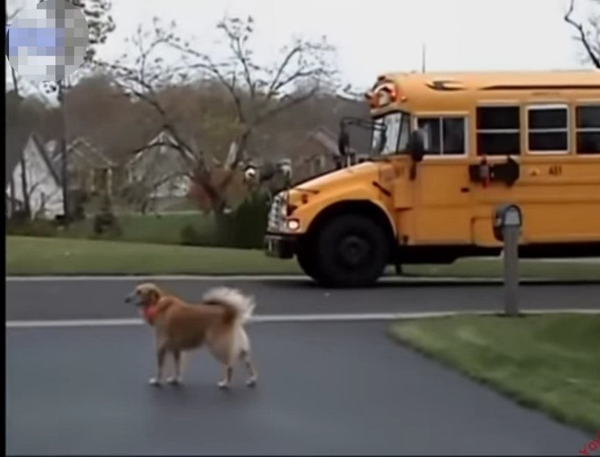 Blog 9-13-2021: Back to School Time!
