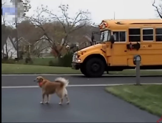 Blog 9-13-2021: Back to School Time!