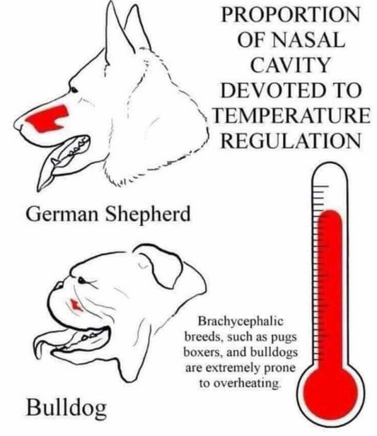 Careful Friends! It's hot out there!