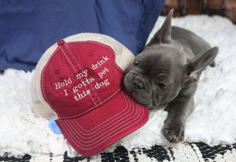 Hold My Drink Baseball Hat