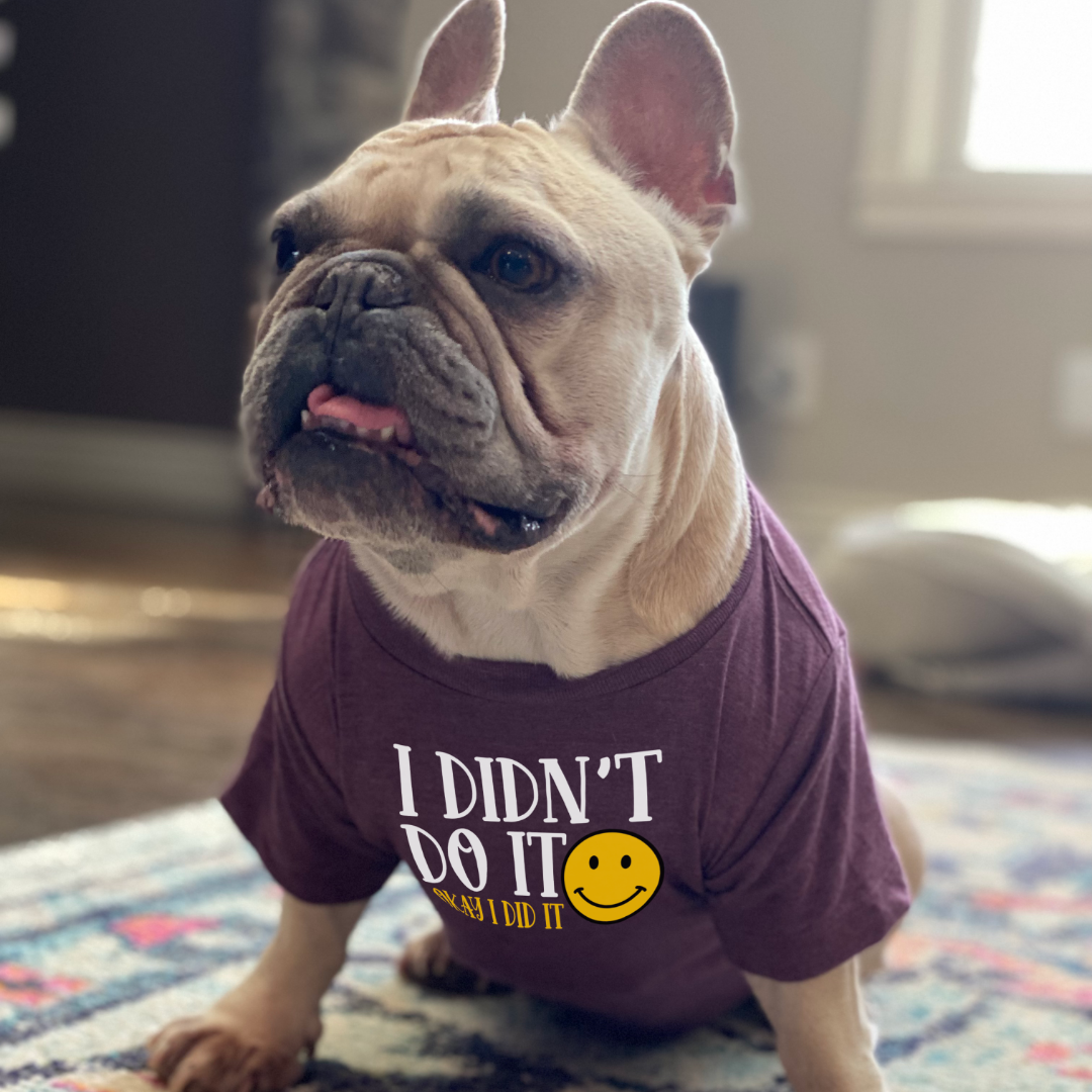 Clothes with your dogs face deals