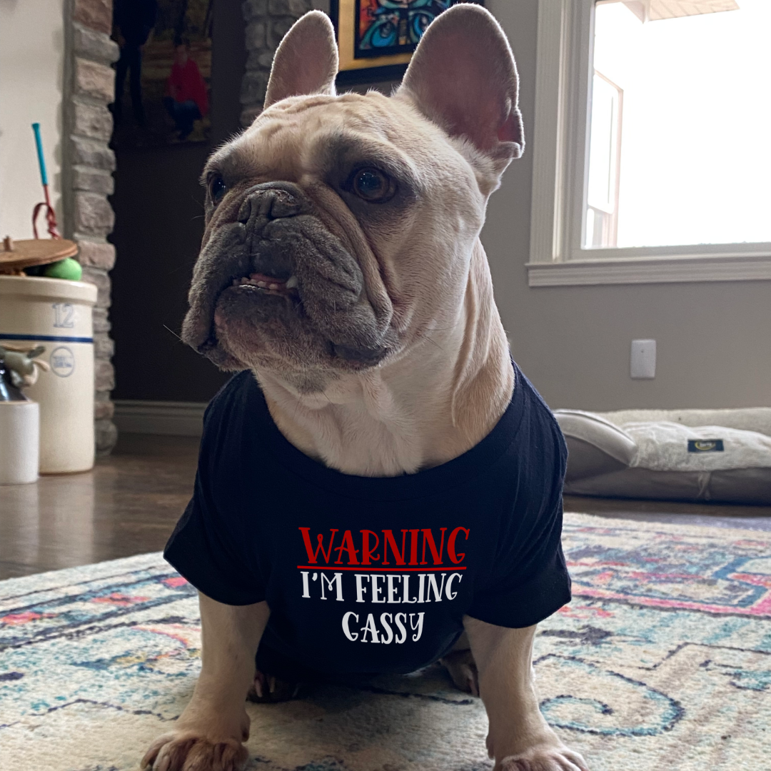 Feeling Gassy Dog Shirt