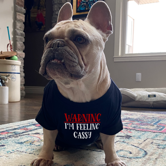 Feeling Gassy Dog Shirt