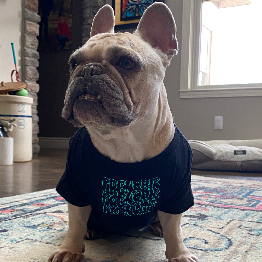 Frenchie t shirts for dogs best sale