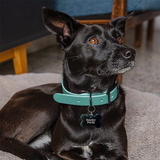 Sandy Paws Dog Tags