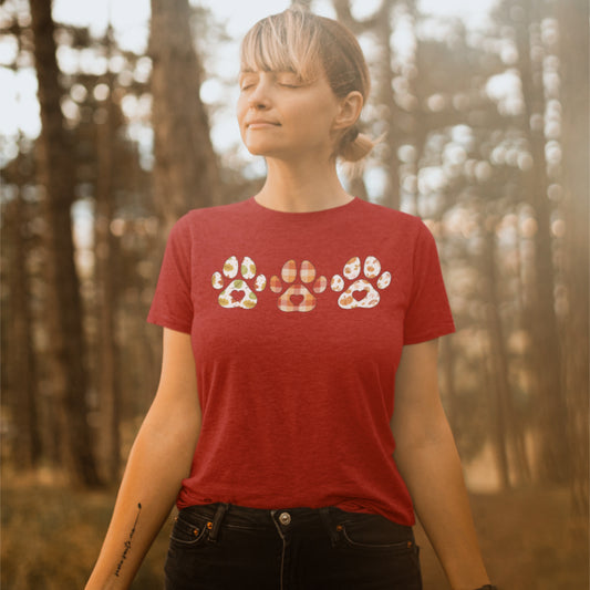 Three Paws Fall