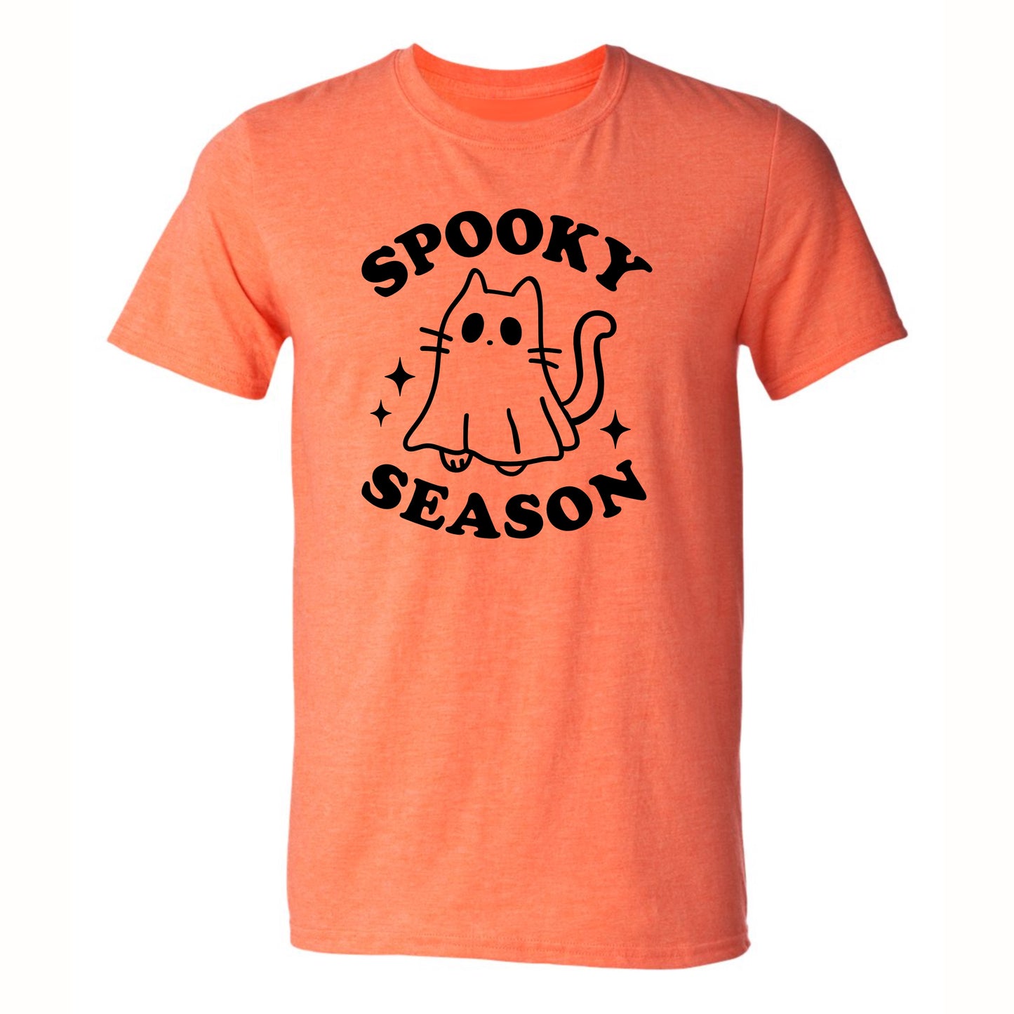 Spooky Season Cat