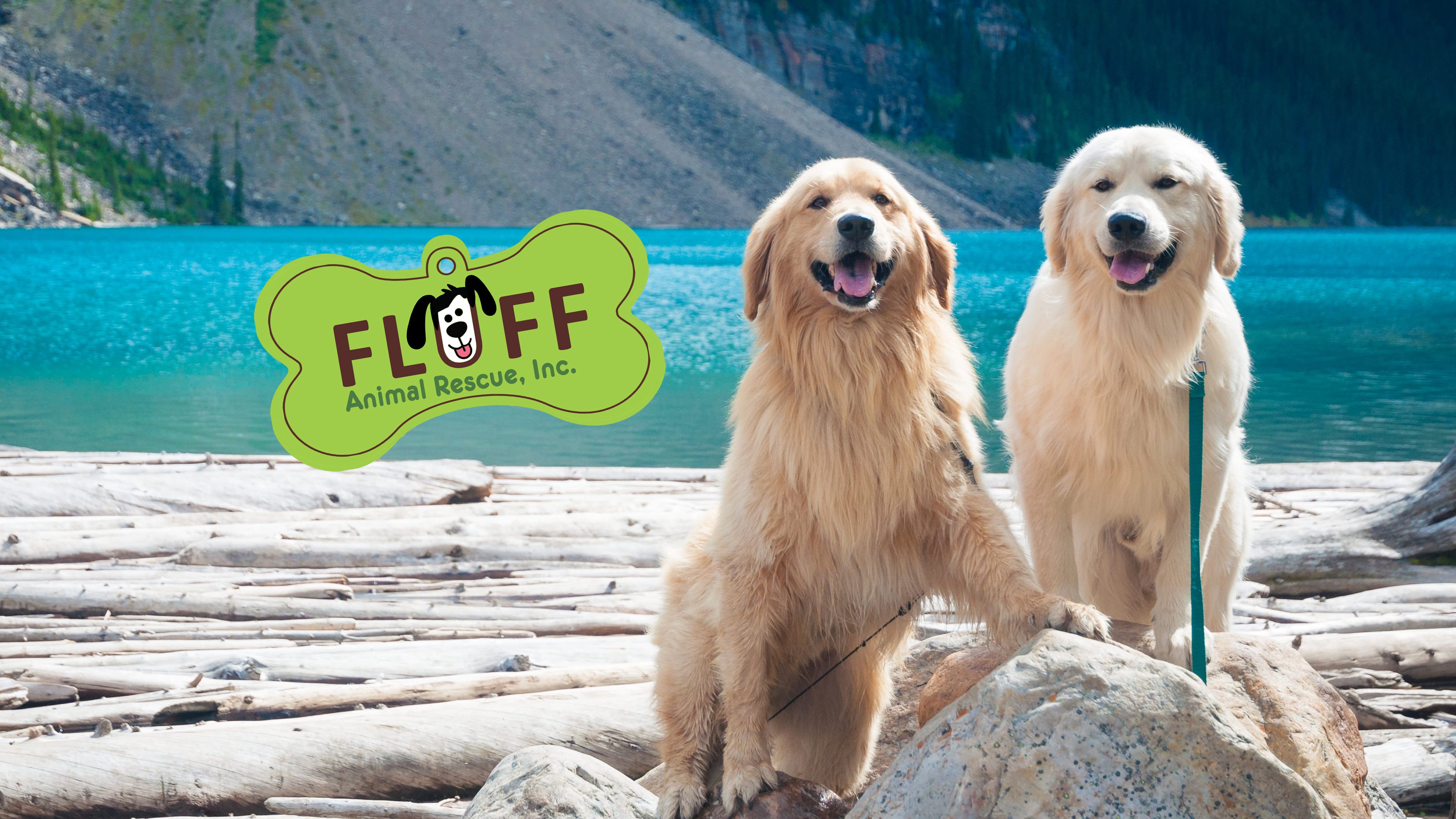 Welcome FLUFF Rescue! – Squishy Faces