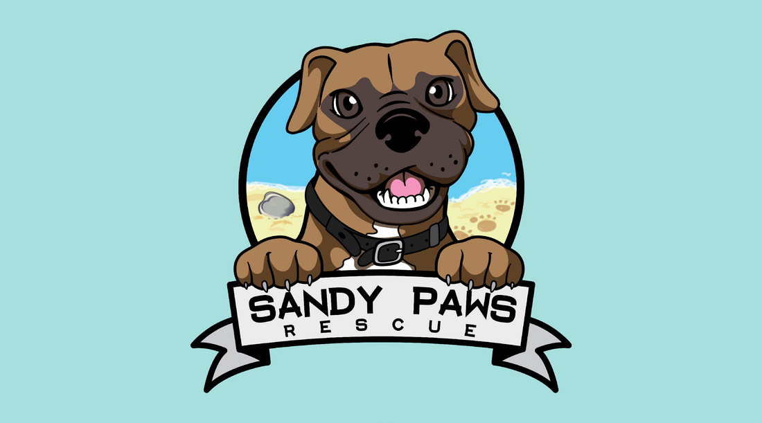 Meet Some Of Sandy Paws Rescues!