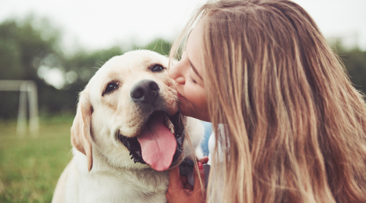 Why Do We Love Dogs So Much?