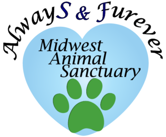 Please help welcome Always & Furever Midwest Animal Sanctuary