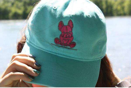 Lagoon blue hat with pink accents new French bulldog