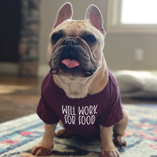 Will Work For Food Dog Shirt