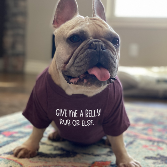 Give me Belly Rubs Dog Shirt