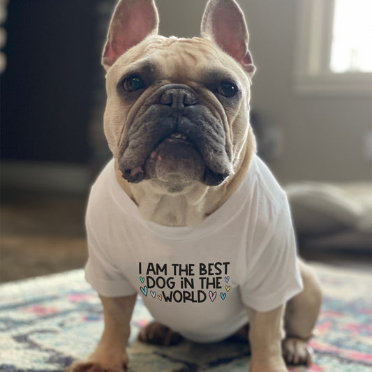 Best Dog in The World Dog Tee