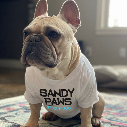 Sandy Paws Rescue Dog Dog Shirt